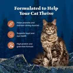 Blue Buffalo Wilderness Wild Delights High Protein Grain Free Natural Adult Flaked Wet Cat Food With Chicken & Turkey - 5.5oz -BlueBuffalo Sales Store GUEST ff98f7d5 c281 4ef6 b6bd 6dec47a396ba