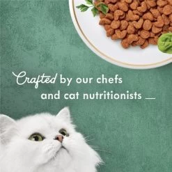 Fancy Feast Medleys Chicken Flavor Dry Cat Food - 2.7lbs -BlueBuffalo Sales Store GUEST ffa87cbf 4496 4bc0 9adc 39794302f9b9